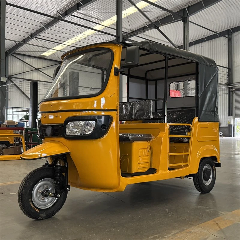High Power Motor Passenger Tricycle